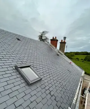 démoussage toiture à Orléans - image 3