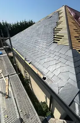 démoussage toiture à Orléans - image 4